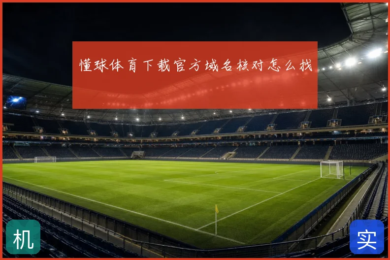 懂球体育下载官方域名核对怎么找