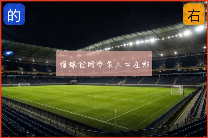 懂球官网登录入口在哪