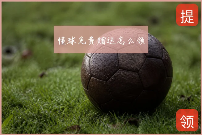 懂球免费赠送怎么领